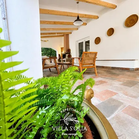 S'olia Villa Gorizia